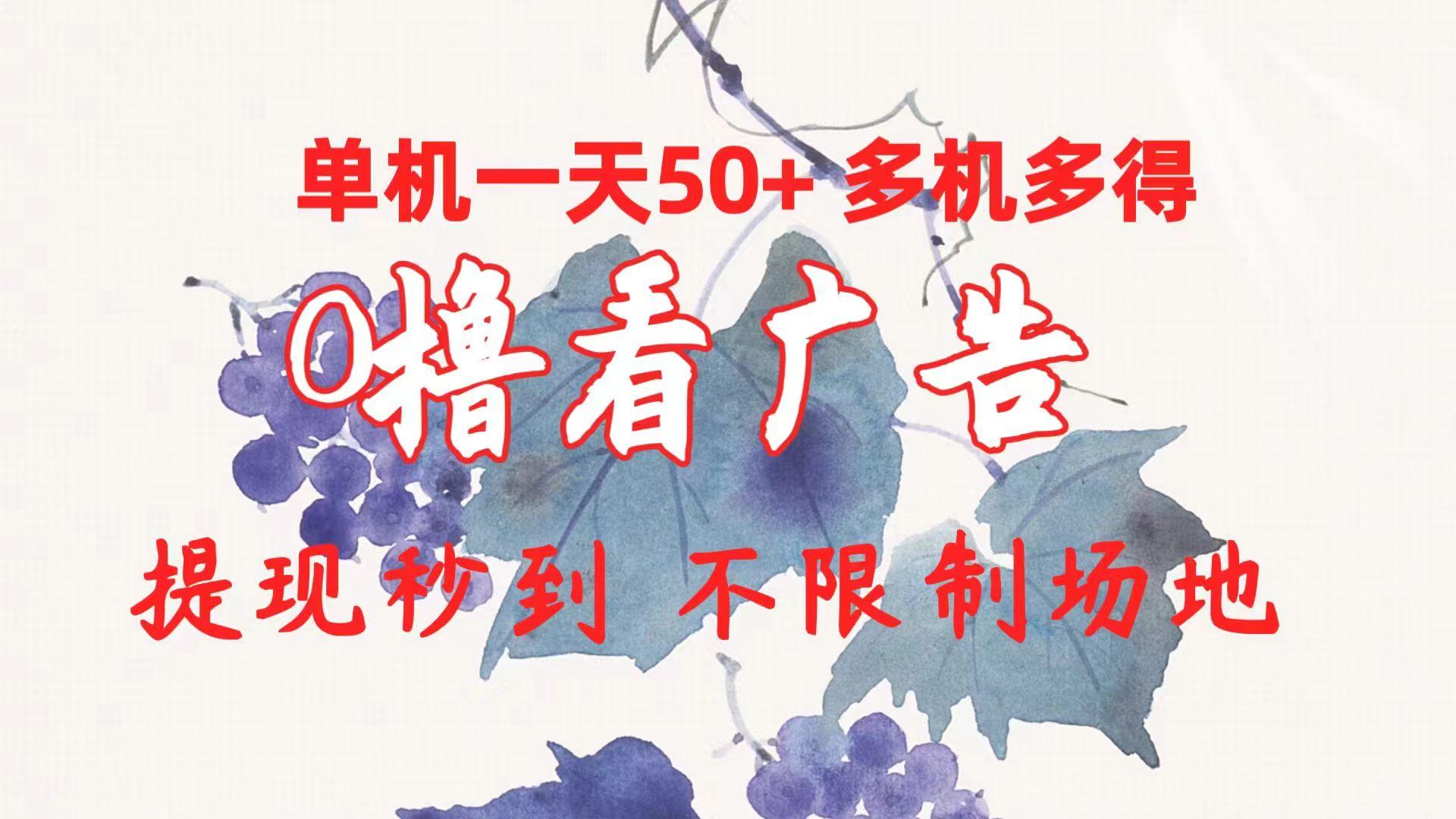 0撸看广告 单机一天50+多机多得 提现秒到 不限制场地操作-179创客网