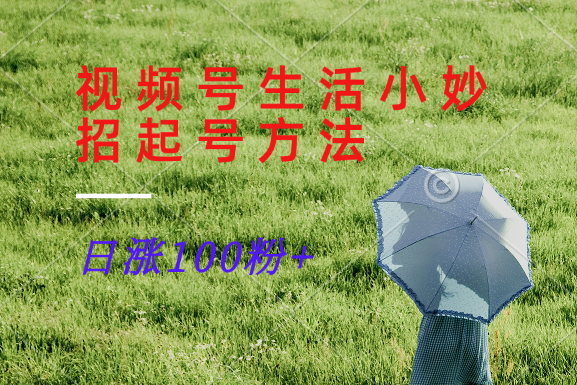 视频号生活小妙招分享赛道， 起号涨粉新方法，日涨100粉-179创客网
