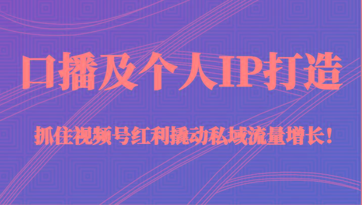 口播及个人IP打造，抓住视频号红利撬动私域流量增长！（45节课）-179创客网