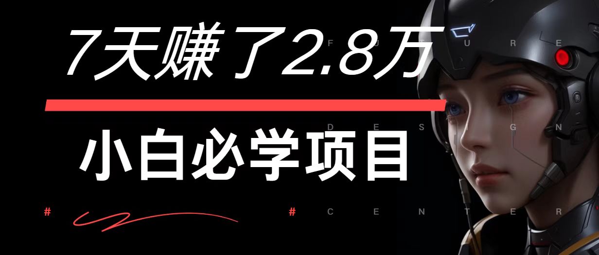 7天赚了2.8万！每单利润最少500+，轻松月入7万+小白有手就行-179创客网