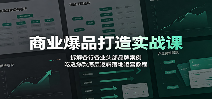 商业爆品打造实战课：拆解各行各业头部品牌案例，吃透爆款底层逻辑落地运营教程-179创客网
