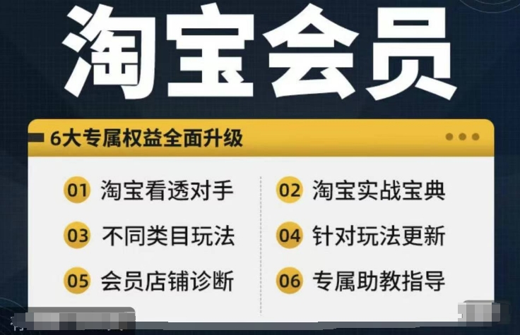 淘宝会员【淘宝所有课程，全面分析对手】，初级到高手全系实战宝典-179创客网