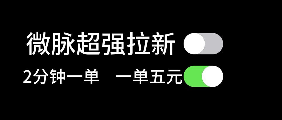 微脉超强拉新， 两分钟1单， 一单利润5块，适合小白-179创客网