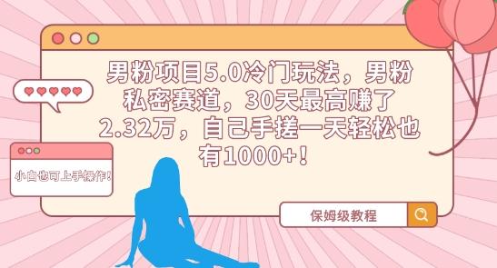 男粉项目5.0冷门玩法，男粉私密赛道，30天最高赚了2.32万，自己手搓一天轻松也有1000+【揭秘】-179创客网