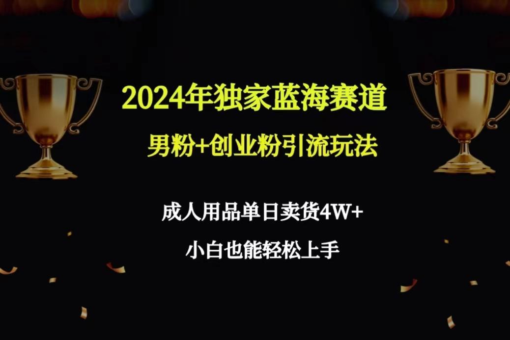 2024年独家蓝海赛道男粉+创业粉引流玩法，成人用品单日卖货4W+保姆教程-179创客网