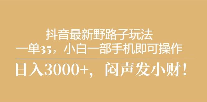 抖音最新野路子玩法，一单35，小白一部手机即可操作，，日入3000+，闷…-179创客网