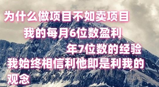 做项目不如卖项目，每月6位数盈利，年7位数经验-179创客网