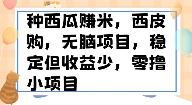 种西瓜赚米，西皮购稳定长久零撸小项目-179创客网