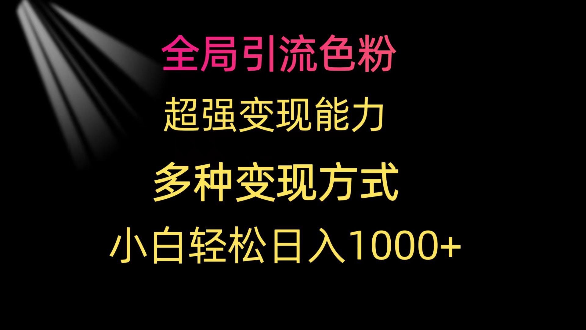 (9680期)全局引流色粉 超强变现能力 多种变现方式 小白轻松日入1000+-179创客网