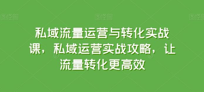 私域流量运营与转化实战课，私域运营实战攻略，让流量转化更高效-179创客网
