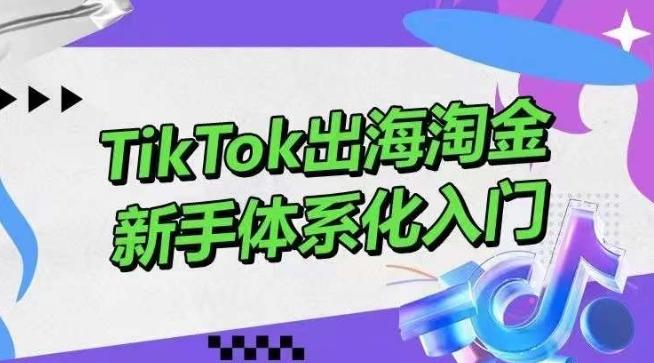 TikTok出海淘金，新手体系化入门，零基础快速入门，掌握短视频、直播带货等引流到变现的知识-179创客网