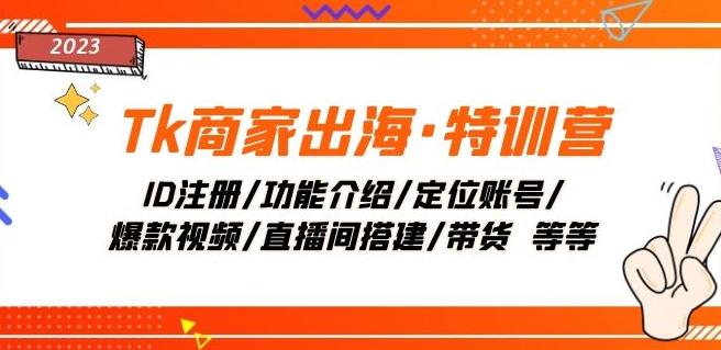 Tk商家出海·特训营：ID注册/功能介绍/定位账号/爆款视频/直播间搭建/带货-179创客网