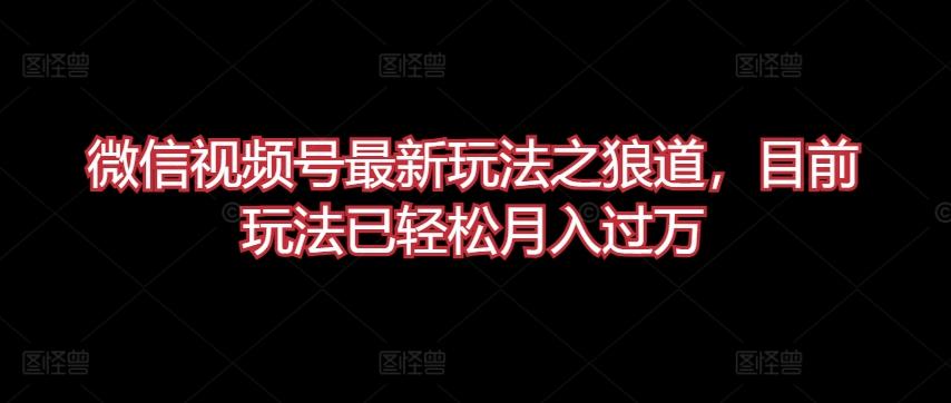 微信视频号最新玩法之狼道，目前玩法已轻松月入过万【揭秘】-179创客网