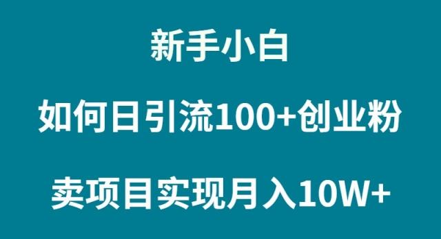 (9556期)新手小白如何通过卖项目实现月入10W+-179创客网