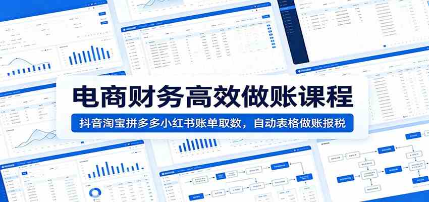 电商财务高效做账课程：抖音淘宝拼多多小红书账单取数，自动表格做账报税-179创客网