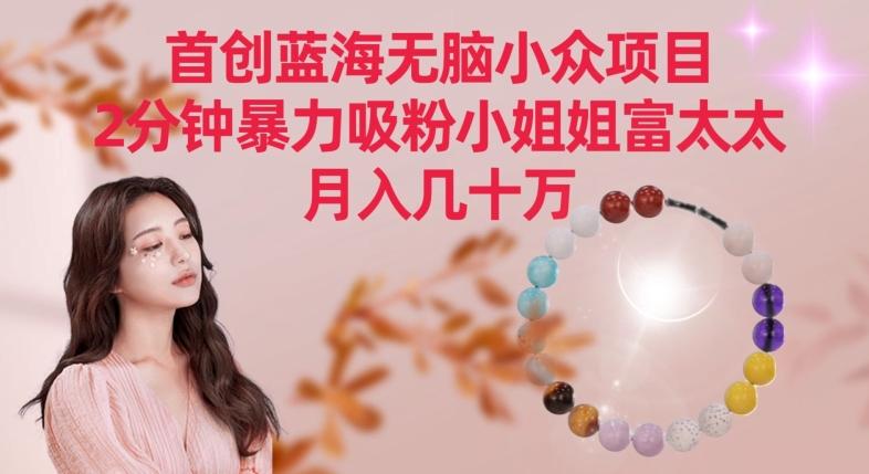 首创蓝海无脑小众项目，2分钟暴力吸粉小姐姐富太太，月入几十万【揭秘】-179创客网