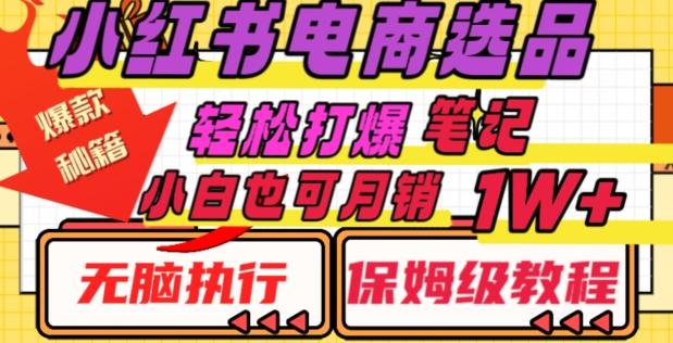 小红书电商爆款选品秘籍，帮你轻松打爆笔记，小白也可轻松月销10000+-179创客网