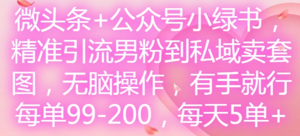 微头条+公众号小绿书，精准引流男粉到私域卖套图，无脑操作，有手就行，每单99-200，每天5单-179创客网