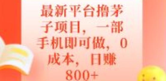 最新平台撸茅子项目，一部手机即可做，0成本，日赚800+-179创客网