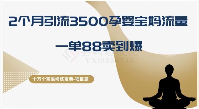 十万个富翁修炼宝典之13.2个月引流3500孕婴宝妈流量，一单88卖到爆-179创客网