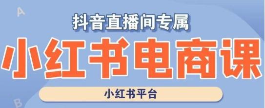 小红书电商高级运营课程，实操教学+案例分析-179创客网