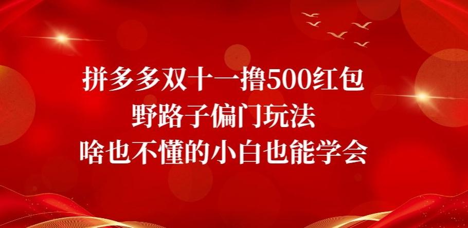 拼多多双十一撸500红包野路子偏门玩法，啥也不懂的小白也能学会【揭秘】-179创客网