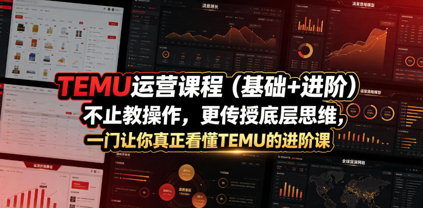 TEMU运营课程（基础+进阶），不止教操作，更传授底层思维，一门让你真正看懂TEMU的进阶课-179创客网
