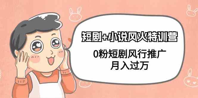 小说+短剧风火特训营，0粉短剧小说风行推广，实现月入过万-179创客网